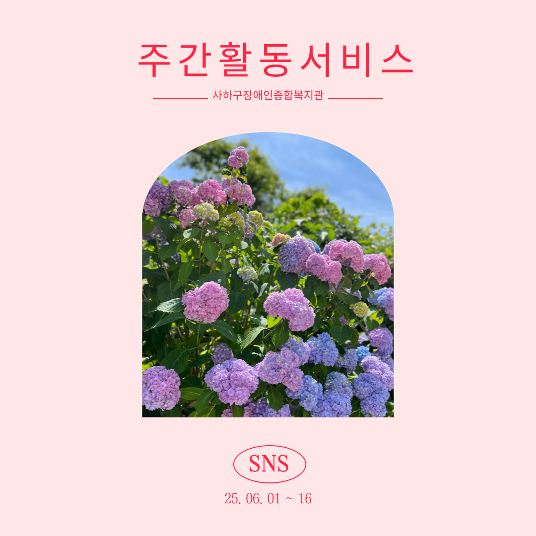 [평생교육팀] 발달장애인 주간활동서비스6월 1,2주